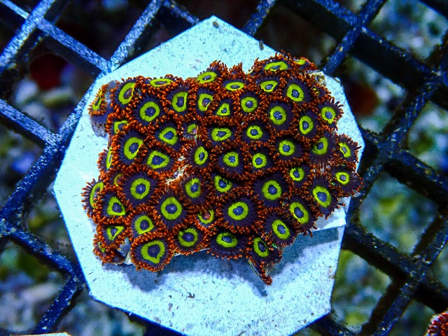 l260705-07