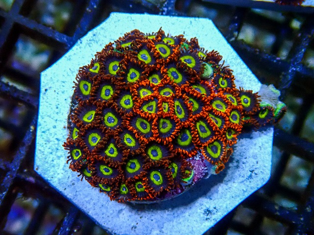 l260705-10