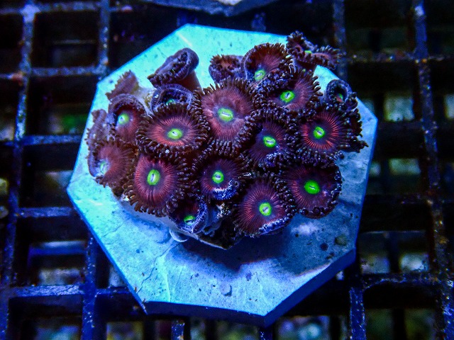 l260705-11
