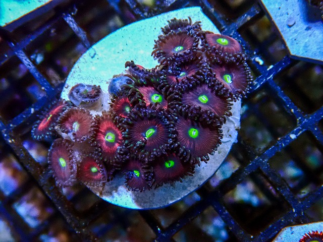 l260705-12