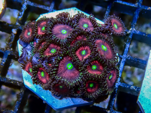 l260705-14