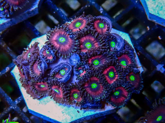 l260705-16