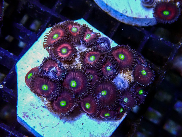 l260705-18