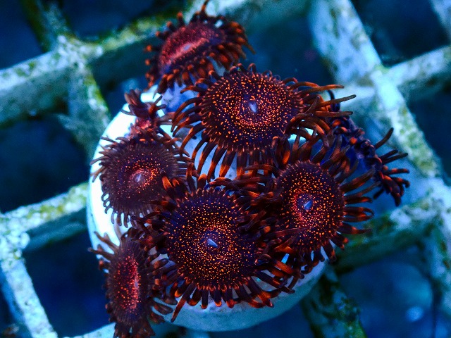 l260705-19
