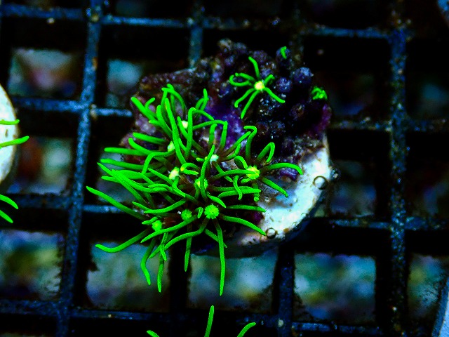 l260705-23