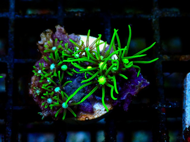 l260705-26