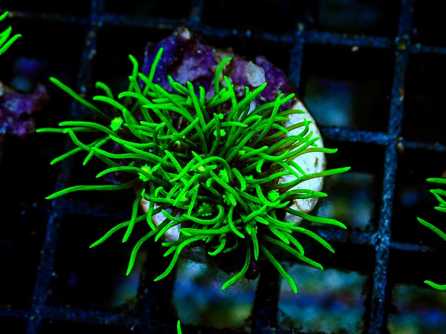 l260705-31