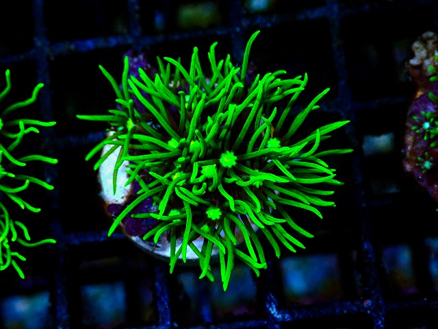 l260705-34