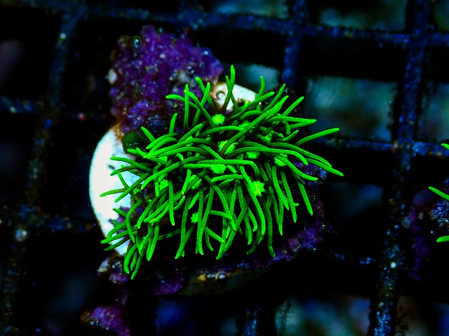 l260705-37