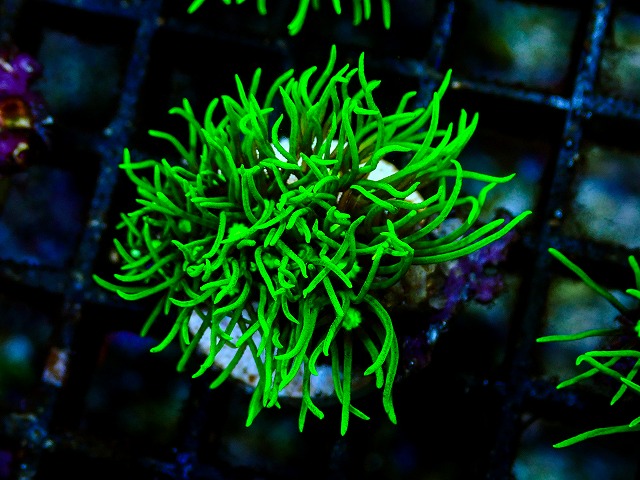 l260705-39