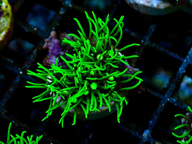 l260705-40