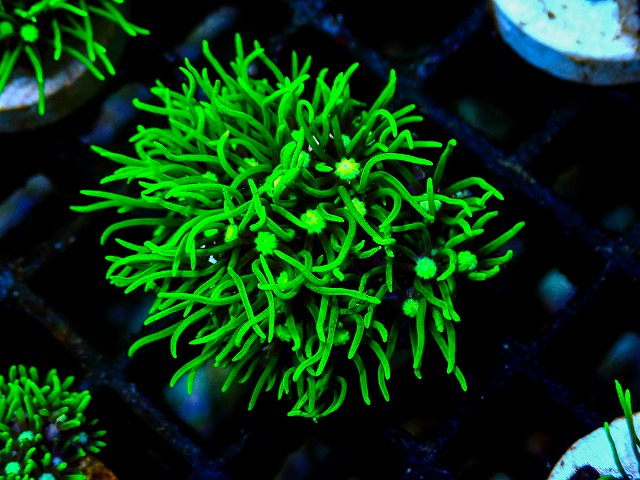 l260705-41