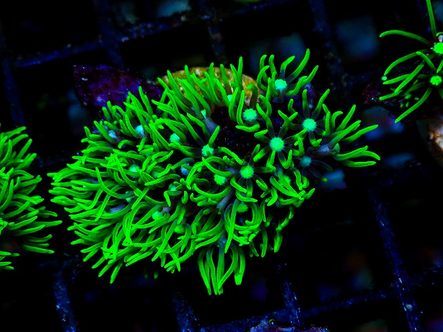 l260705-43