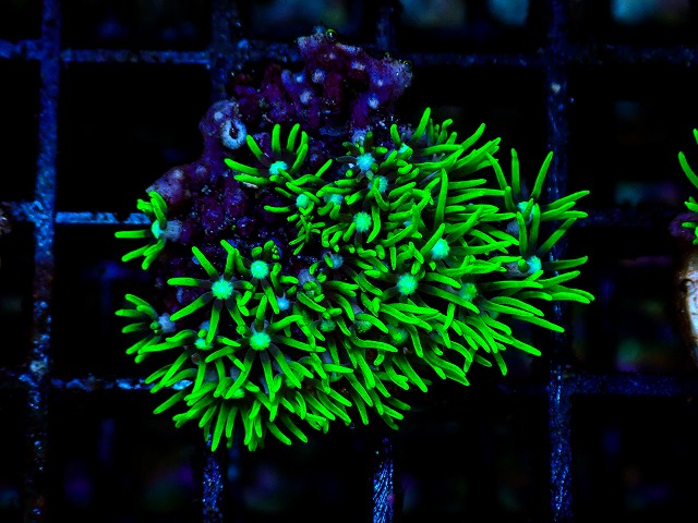 l260705-44