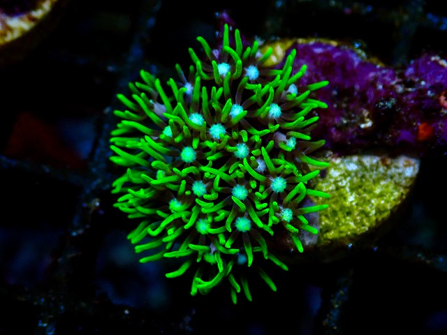 l260705-47