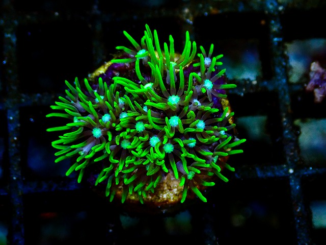 l260705-48