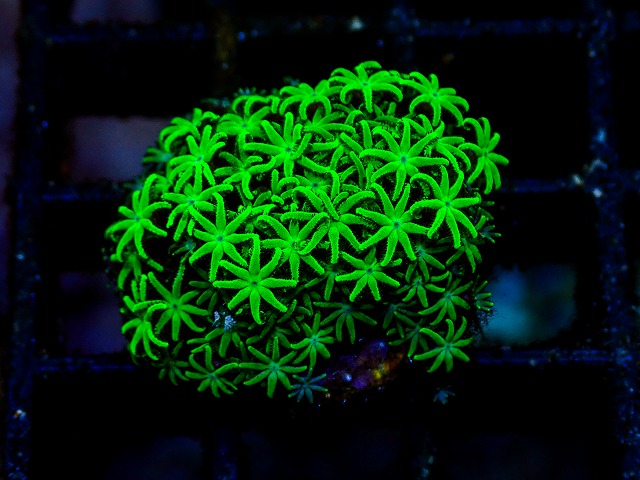 l260705-53