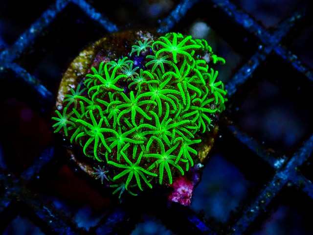 l260705-54