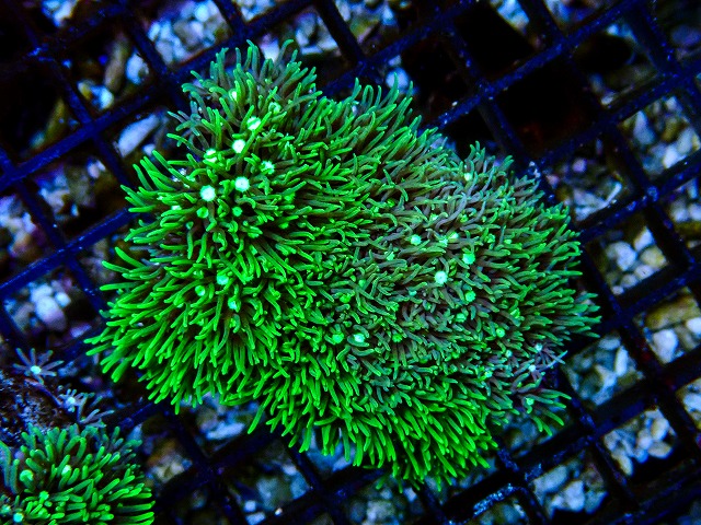 l260705-61