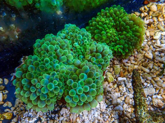 l260718-3