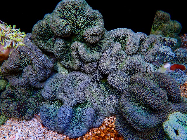 l260723-5