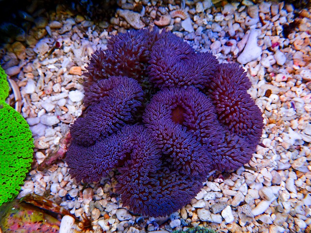 l260730-8