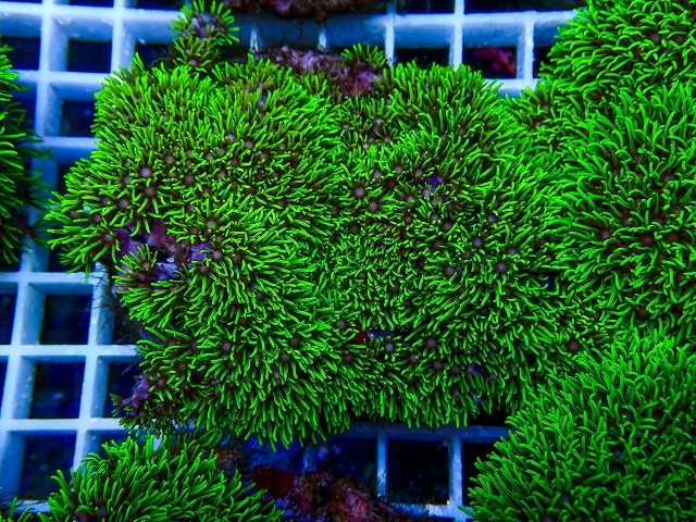 l260731-14