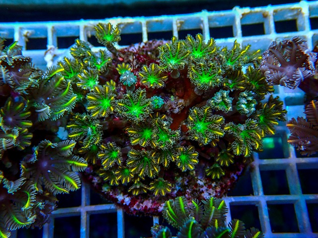 l260731-29