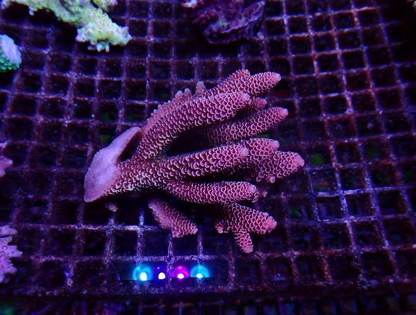 s260717001 (10)
