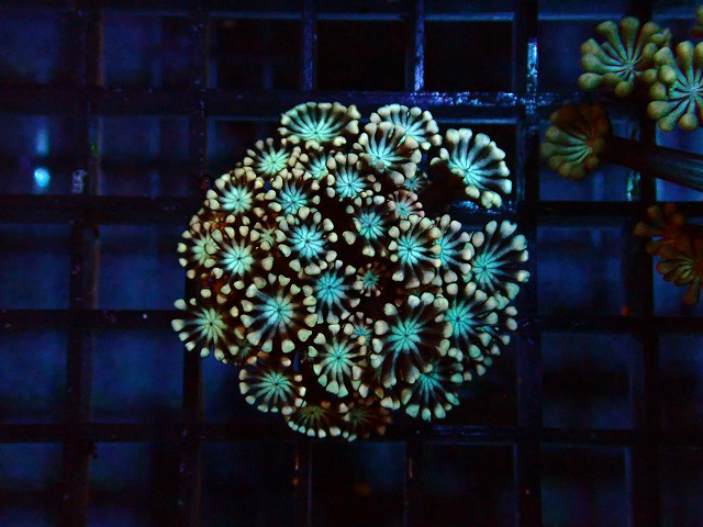 s260717001 (122)