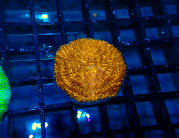 s260717001 (149)