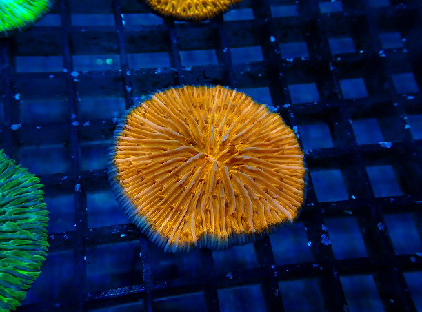 s260717001 (150)