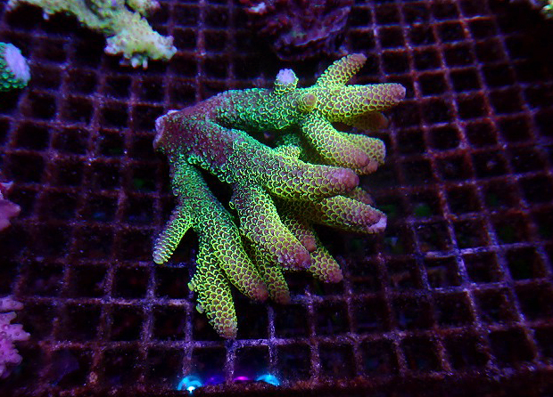 s260717001 (22)
