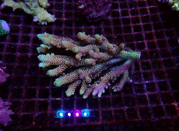 s260717001 (27)