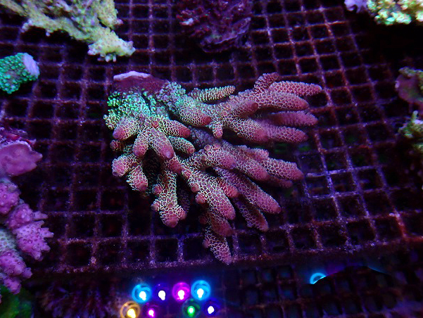 s260717001 (29)