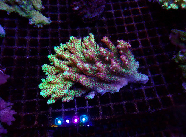 s260717001 (38)