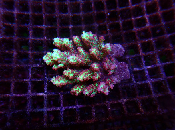 s260717001 (45)