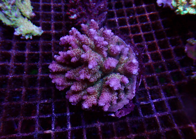 s260717001 (49)