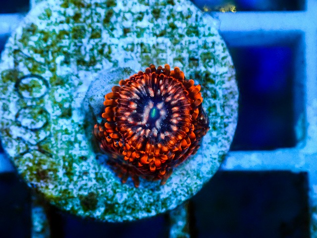 l260809-05