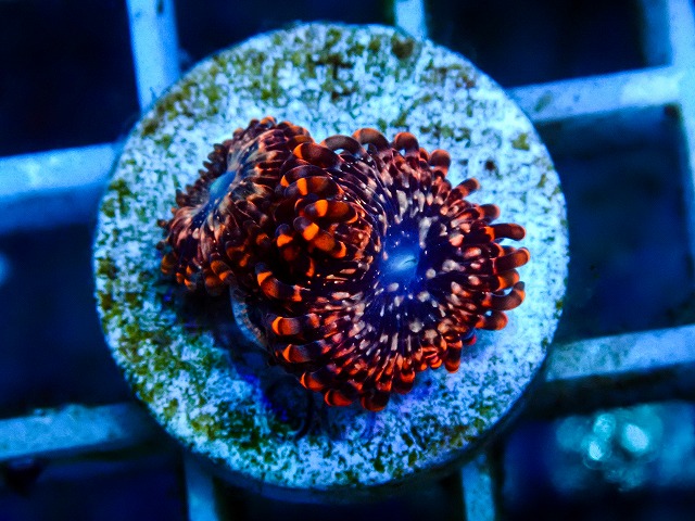l260809-07