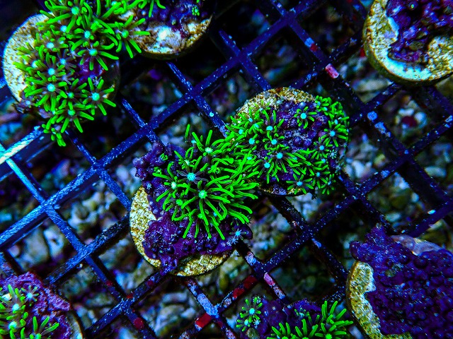 l260809-13