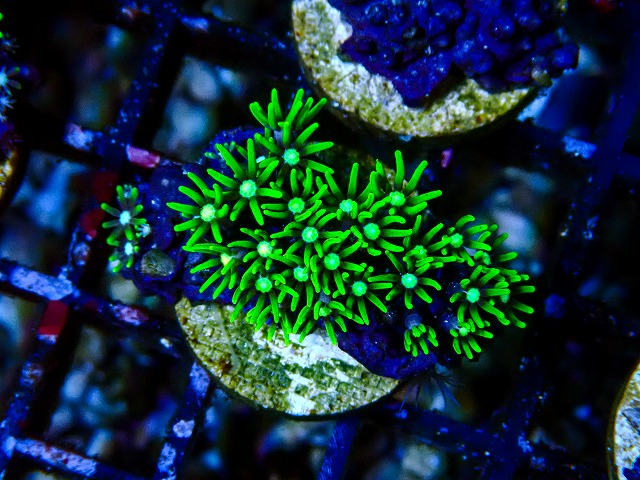 l260809-13