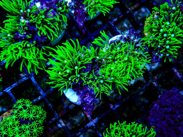 l260809-15