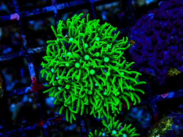 l260809-15