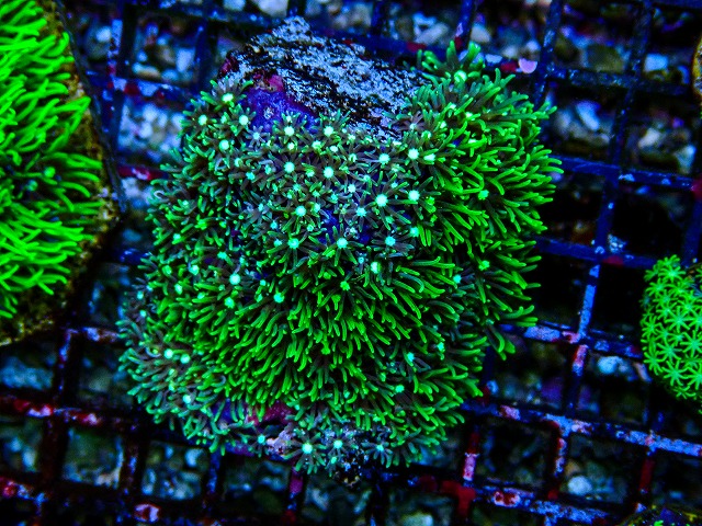 l260809-19