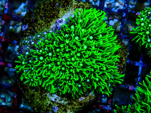 l260809-22