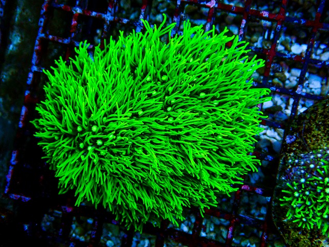 l260809-23