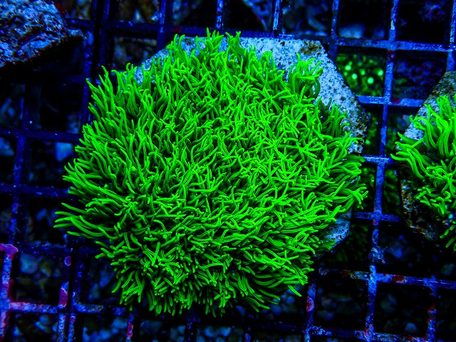 l260809-25