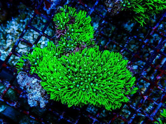 l260809-28