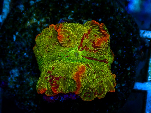 l260811-04